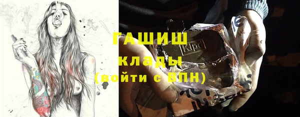 стаф Ельня