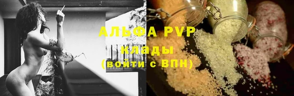 стаф Ельня