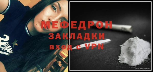 стаф Ельня