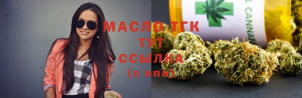 стаф Ельня