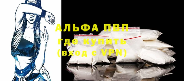 стаф Ельня