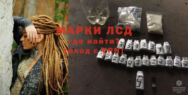стаф Ельня