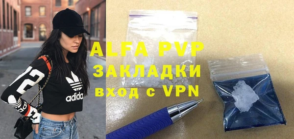 стаф Ельня