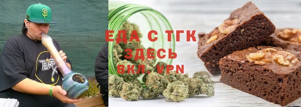 стаф Ельня