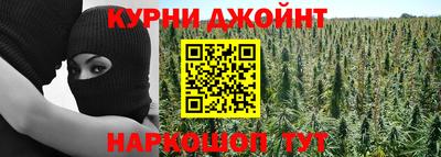 дмт Донской
