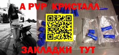 дмт Донской