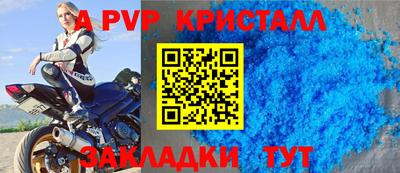 дмт Донской