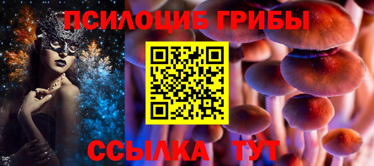 Реж  Псилоцибиновые грибы Psilocybe  Вход с VPN 